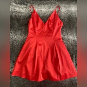 Rose Dress Mini Dress Prom Dress
